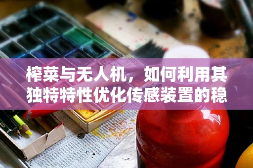 榨菜与无人机，如何利用其独特特性优化传感装置的稳定性？