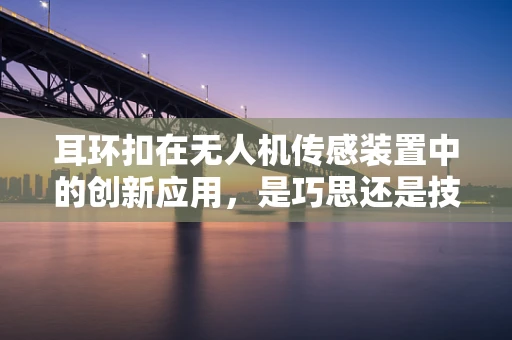 耳环扣在无人机传感装置中的创新应用，是巧思还是技术瓶颈？