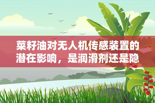 菜籽油对无人机传感装置的潜在影响，是润滑剂还是隐患？