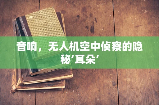 音响，无人机空中侦察的隐秘‘耳朵’