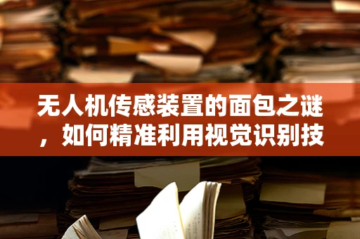 无人机传感装置的面包之谜，如何精准利用视觉识别技术？