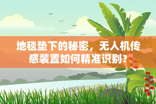 地毯垫下的秘密，无人机传感装置如何精准识别？