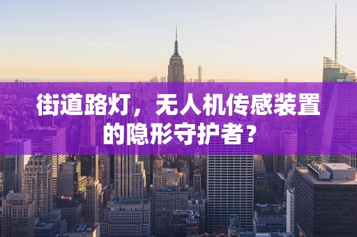 街道路灯，无人机传感装置的隐形守护者？