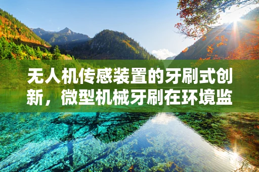 无人机传感装置的牙刷式创新，微型机械牙刷在环境监测中的应用