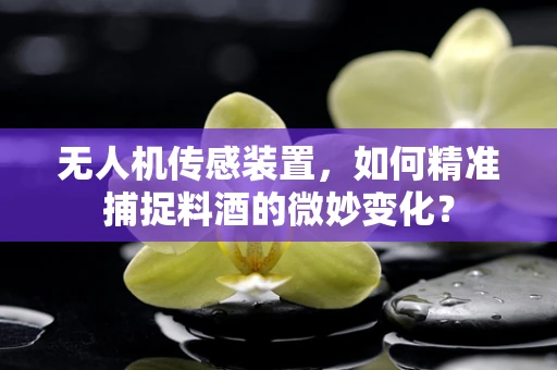 无人机传感装置，如何精准捕捉料酒的微妙变化？
