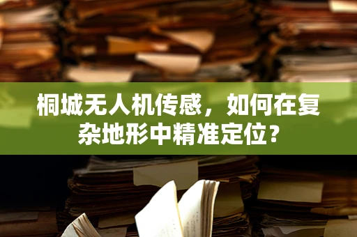 桐城无人机传感，如何在复杂地形中精准定位？