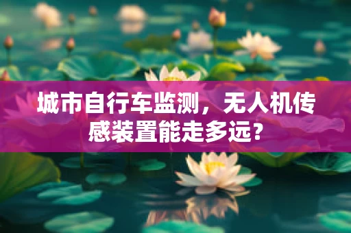 城市自行车监测，无人机传感装置能走多远？