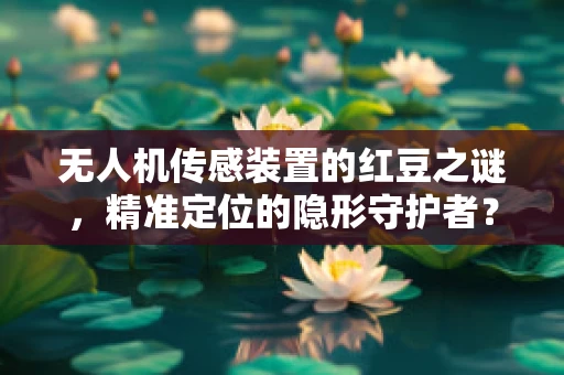 无人机传感装置的红豆之谜，精准定位的隐形守护者？