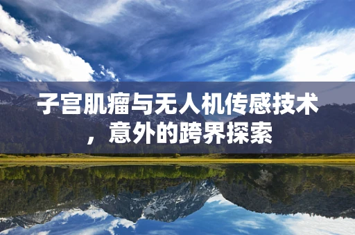 子宫肌瘤与无人机传感技术，意外的跨界探索