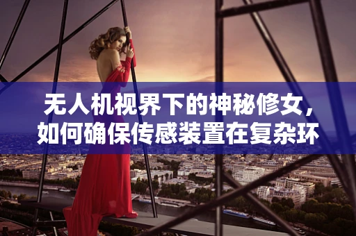 无人机视界下的神秘修女，如何确保传感装置在复杂环境中的精准识别？