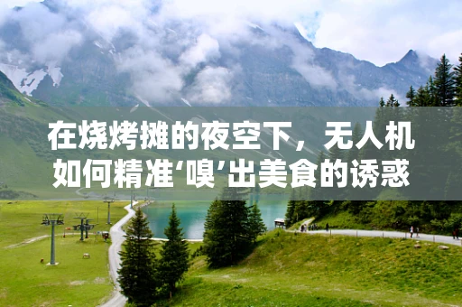 在烧烤摊的夜空下，无人机如何精准‘嗅’出美食的诱惑？