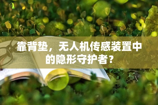 靠背垫，无人机传感装置中的隐形守护者？