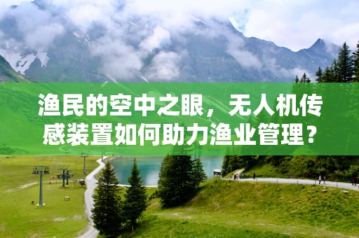 渔民的空中之眼，无人机传感装置如何助力渔业管理？