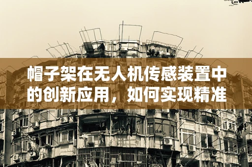 帽子架在无人机传感装置中的创新应用，如何实现精准定位与避障？