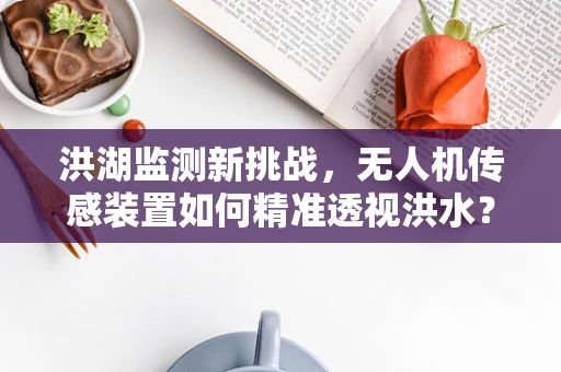洪湖监测新挑战，无人机传感装置如何精准透视洪水？