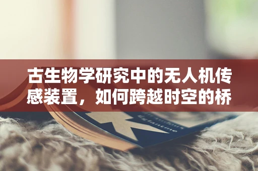 古生物学研究中的无人机传感装置，如何跨越时空的桥梁？