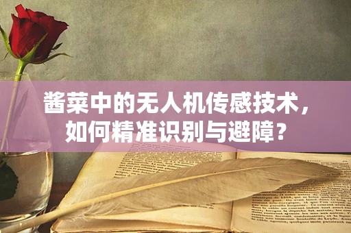 酱菜中的无人机传感技术，如何精准识别与避障？
