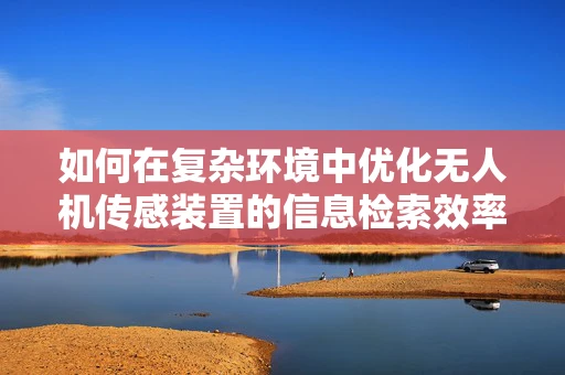 如何在复杂环境中优化无人机传感装置的信息检索效率？