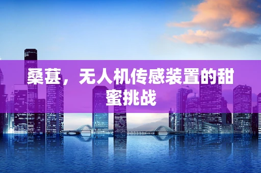 桑葚，无人机传感装置的甜蜜挑战
