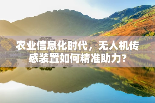 农业信息化时代，无人机传感装置如何精准助力？