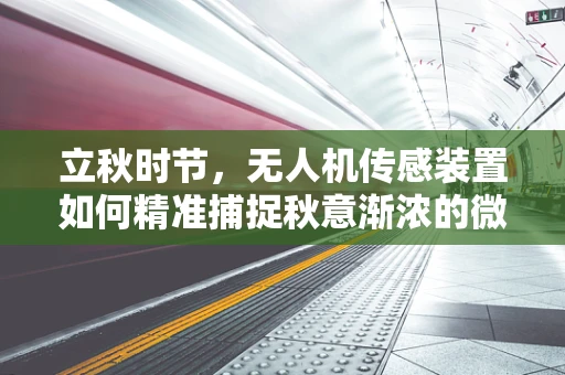 立秋时节，无人机传感装置如何精准捕捉秋意渐浓的微妙变化？