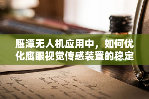 鹰潭无人机应用中，如何优化鹰眼视觉传感装置的稳定性和精度？