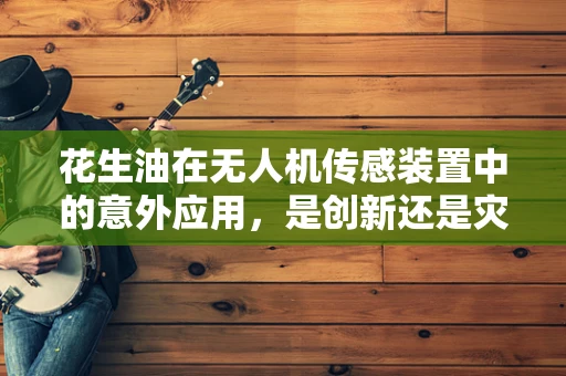 花生油在无人机传感装置中的意外应用，是创新还是灾难？