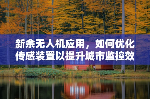 新余无人机应用，如何优化传感装置以提升城市监控效率？
