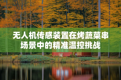 无人机传感装置在烤蔬菜串场景中的精准温控挑战