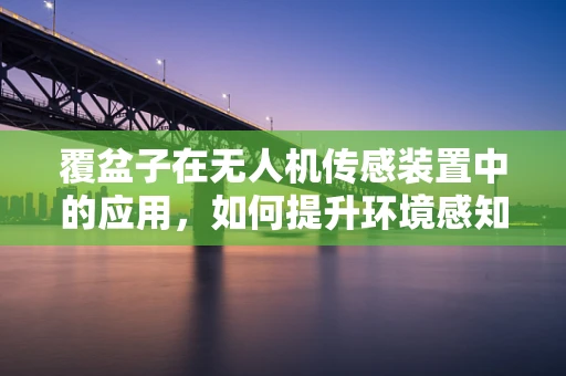 覆盆子在无人机传感装置中的应用，如何提升环境感知的准确性？