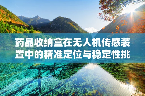 药品收纳盒在无人机传感装置中的精准定位与稳定性挑战
