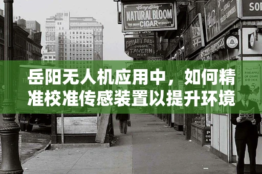 岳阳无人机应用中，如何精准校准传感装置以提升环境监测精度？