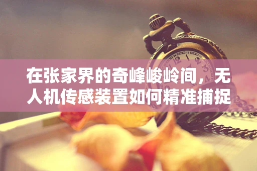 在张家界的奇峰峻岭间，无人机传感装置如何精准捕捉自然之美？