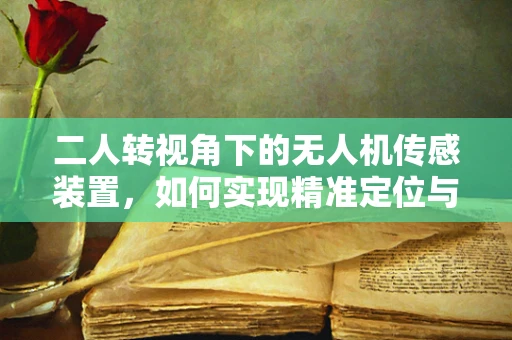 二人转视角下的无人机传感装置，如何实现精准定位与协作？
