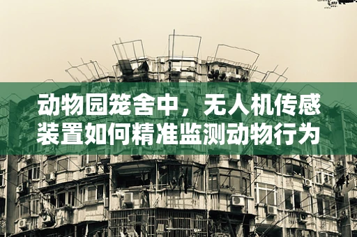 动物园笼舍中，无人机传感装置如何精准监测动物行为？