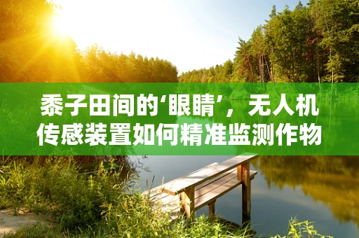 黍子田间的‘眼睛’，无人机传感装置如何精准监测作物生长？