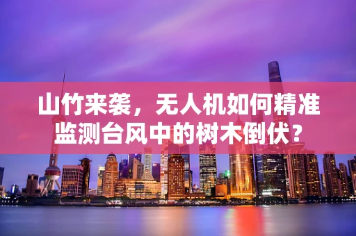 山竹来袭，无人机如何精准监测台风中的树木倒伏？