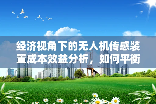 经济视角下的无人机传感装置成本效益分析，如何平衡技术进步与成本控制？