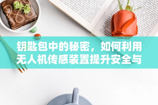 钥匙包中的秘密，如何利用无人机传感装置提升安全与效率？
