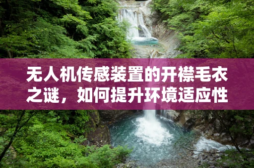 无人机传感装置的开襟毛衣之谜，如何提升环境适应性？
