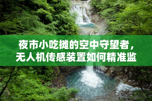 夜市小吃摊的空中守望者，无人机传感装置如何精准监测食品安全？