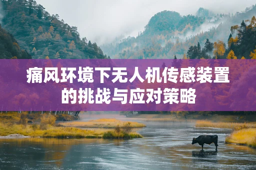 痛风环境下无人机传感装置的挑战与应对策略