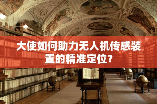 大使如何助力无人机传感装置的精准定位？