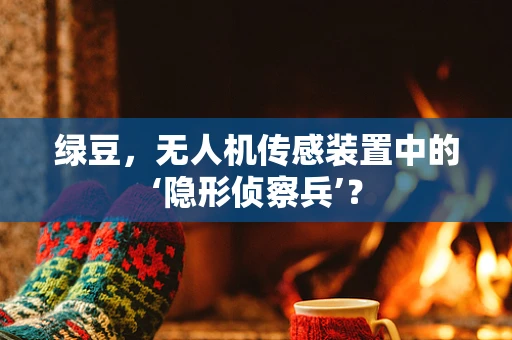 绿豆，无人机传感装置中的‘隐形侦察兵’？