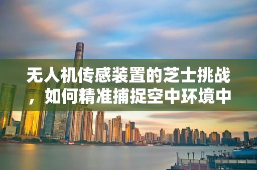 无人机传感装置的芝士挑战，如何精准捕捉空中环境中的微妙变化？