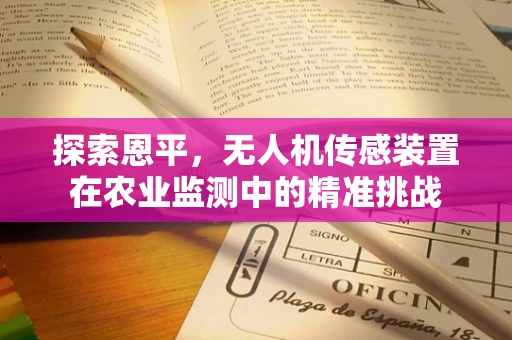 探索恩平，无人机传感装置在农业监测中的精准挑战