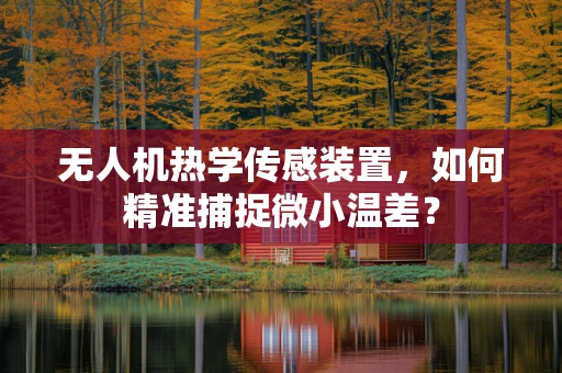 无人机热学传感装置，如何精准捕捉微小温差？