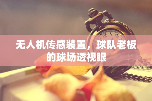 无人机传感装置，球队老板的球场透视眼
