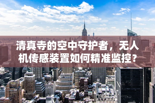 清真寺的空中守护者，无人机传感装置如何精准监控？