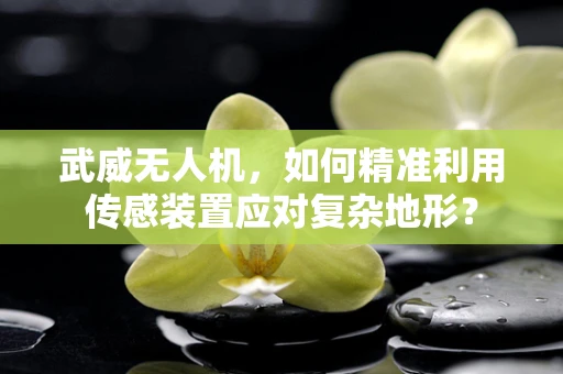 武威无人机，如何精准利用传感装置应对复杂地形？